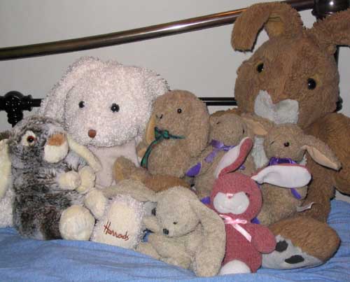 These are the bunnies